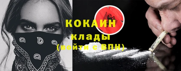 винт Губаха