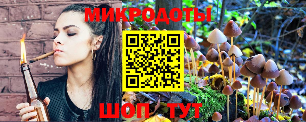 Псилоцибиновые грибы мухоморы Кушва