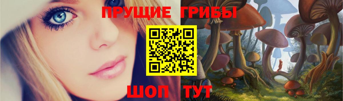 Псилоцибиновые грибы Cubensis  Псилоцибиновые грибы GOLDEN TEACHER  Кушва  Вход с VPN 
