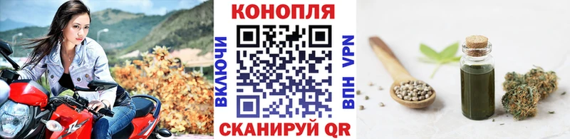 Канабис планчик  блэк спрут онион  Кушва 